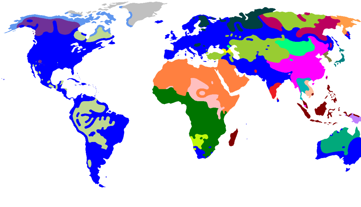 Виды языков стран. Карта языковых семей мира. Языки на карте мира. Языковые семьи карта. Карта распространения языковых семей.